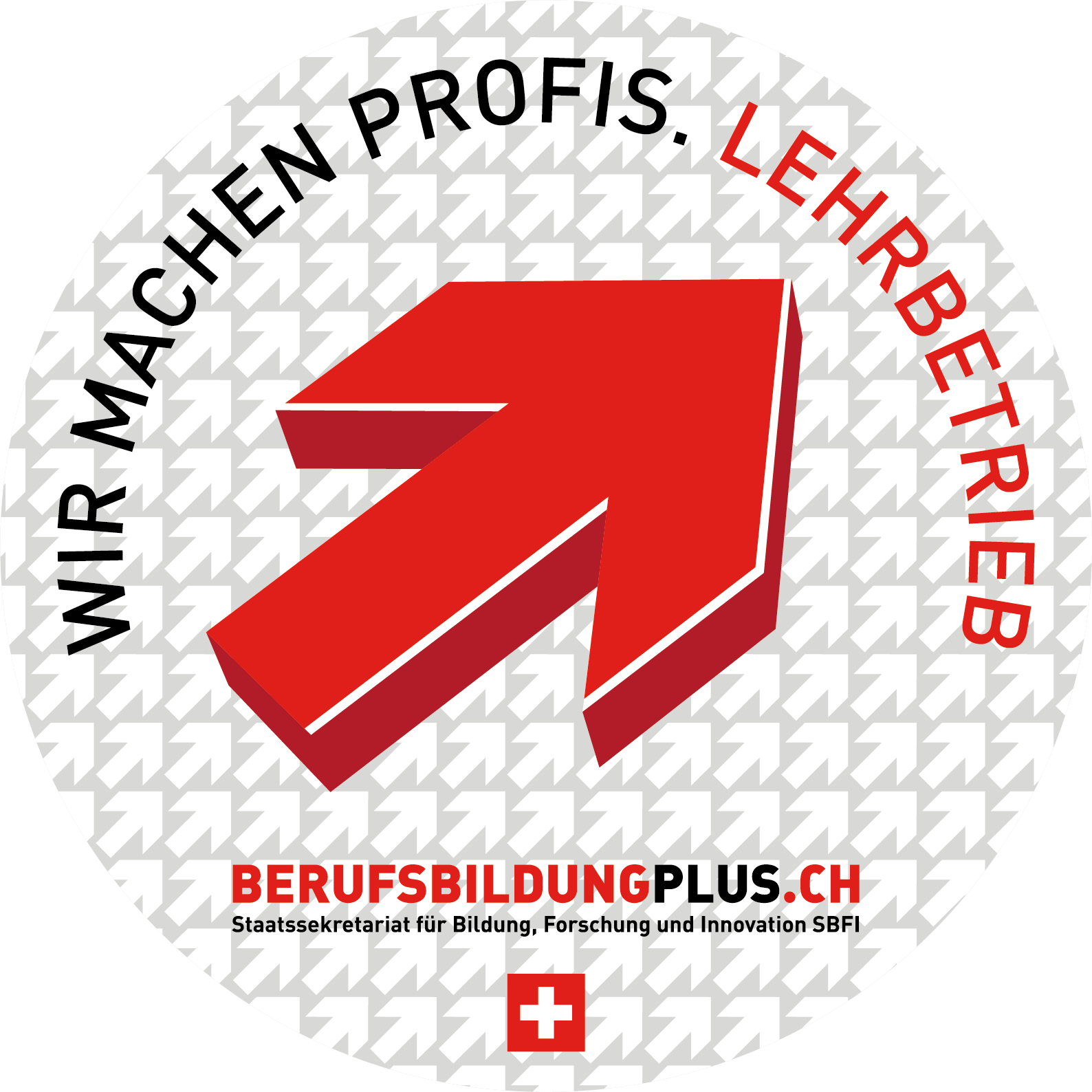 gnaedinger-marketingwerkstatt-sins-ueber-uns-lehrbetrieb-logo-wir-machen-profis